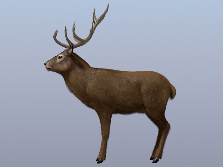 RedDeer preview image 1