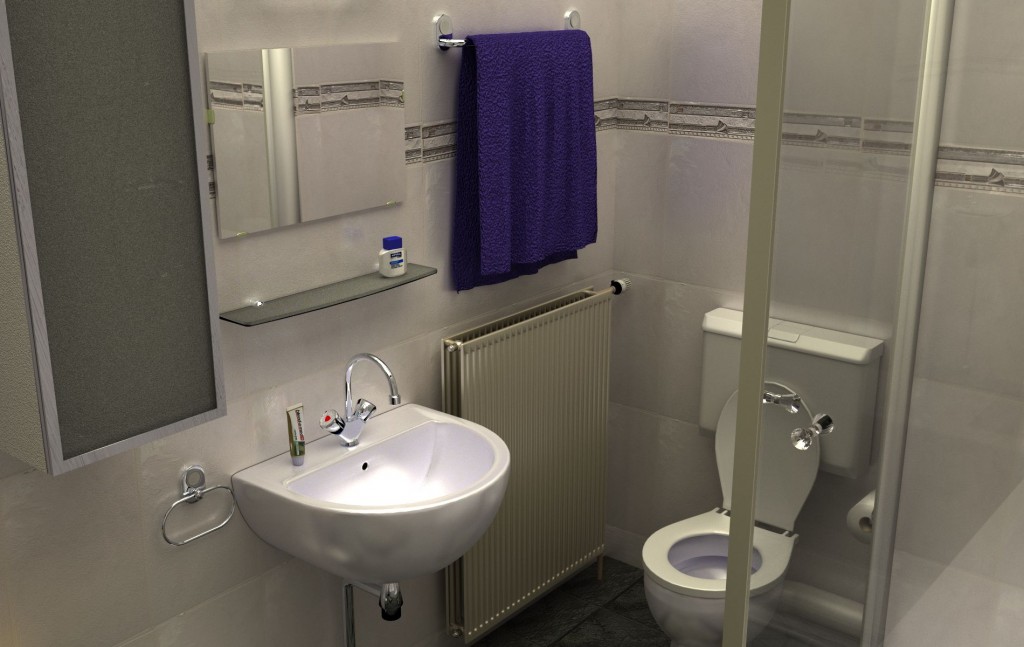 Bathroom Cycles 2 preview image 1