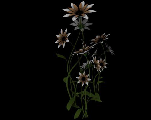 Flowers preview image