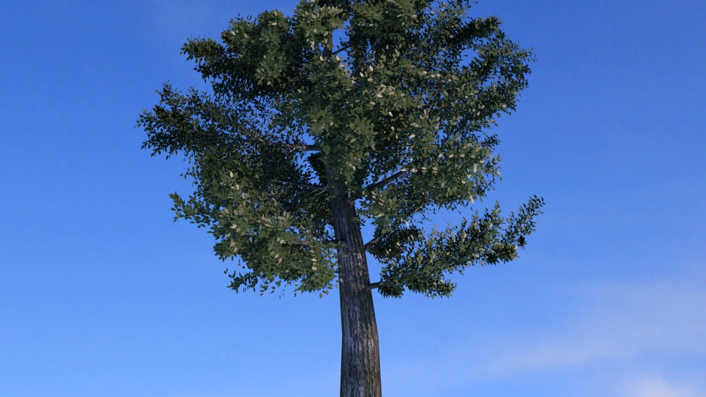 Tree preview image 1