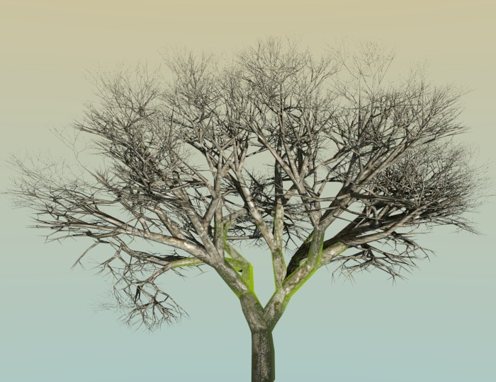 Tree With Moss preview image 1