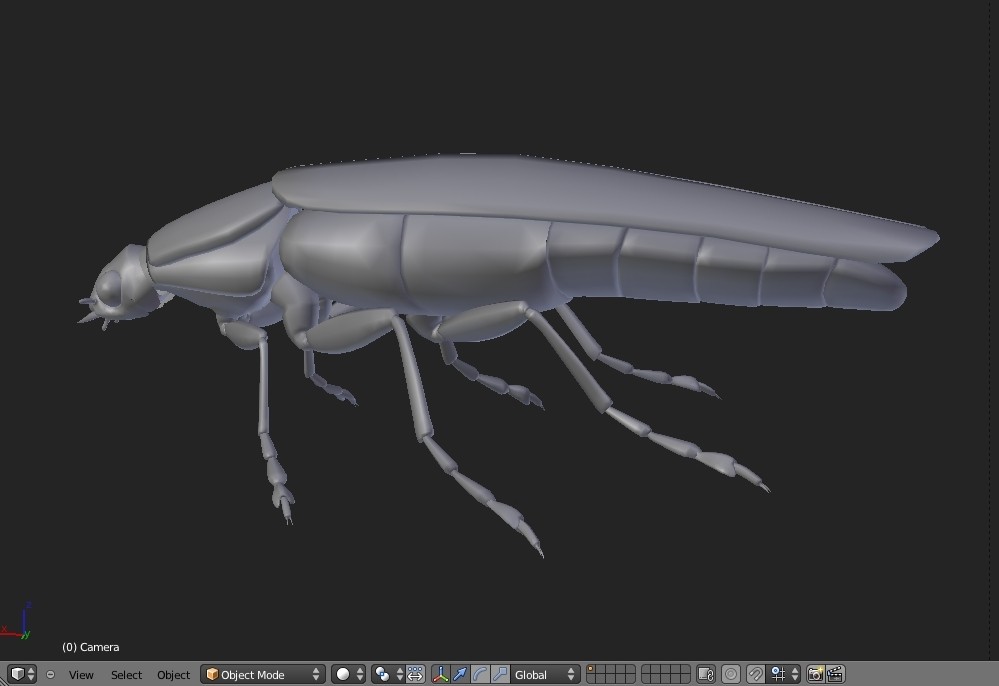 Coro preview image 1