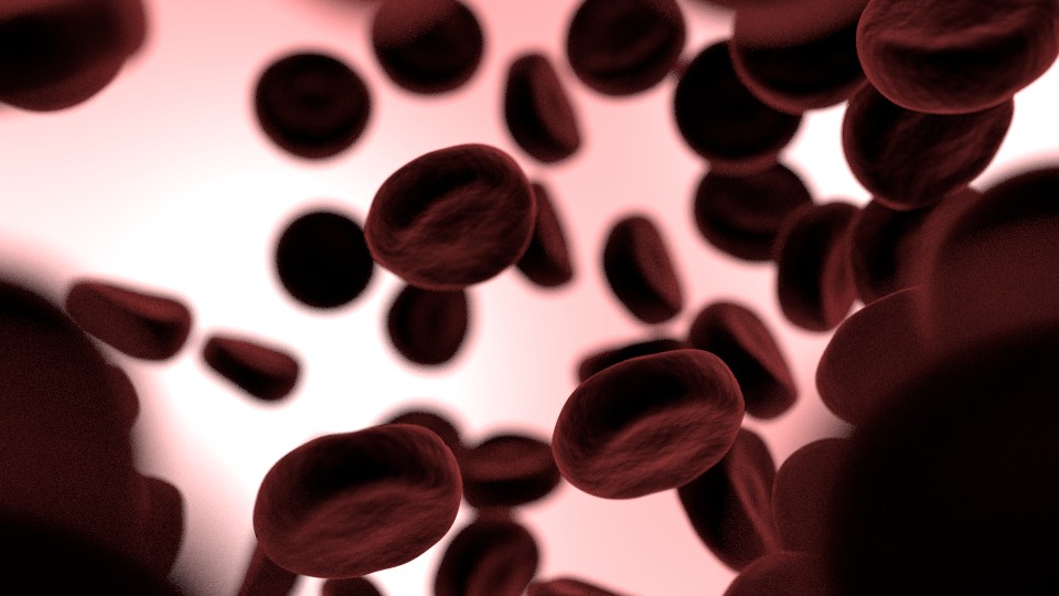 BloodCells preview image 1