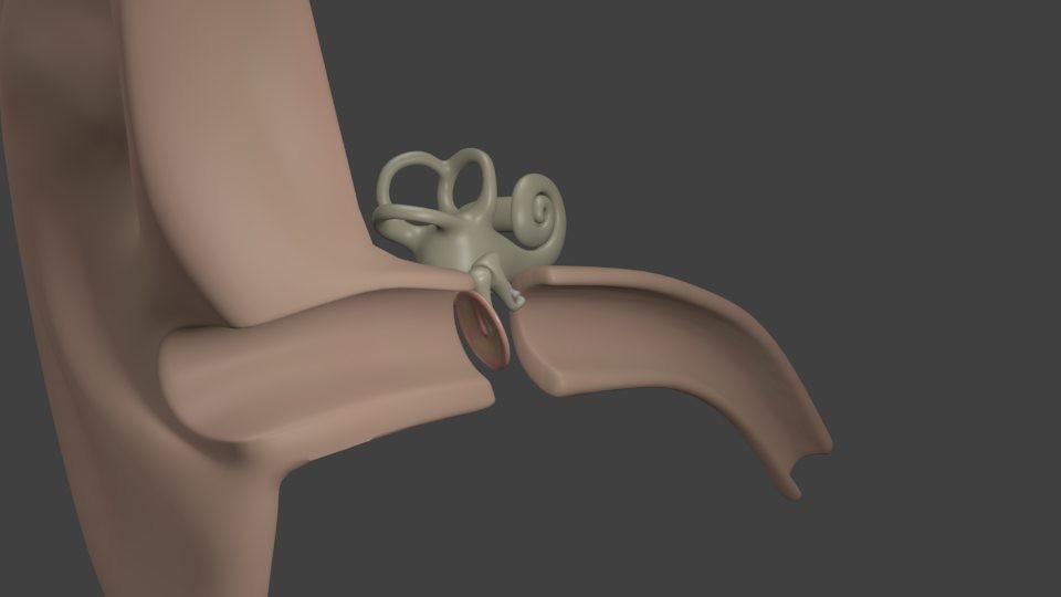 Inner Ear preview image 1