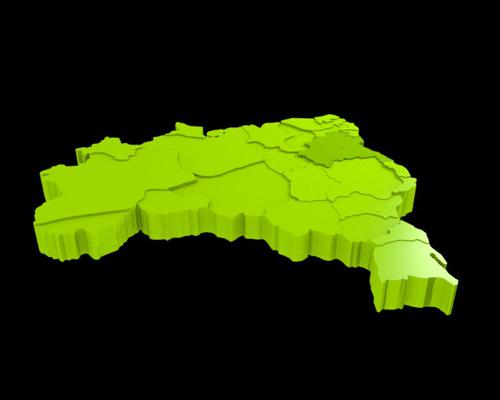 Daniel Silveira Aguiar Cruz preview image