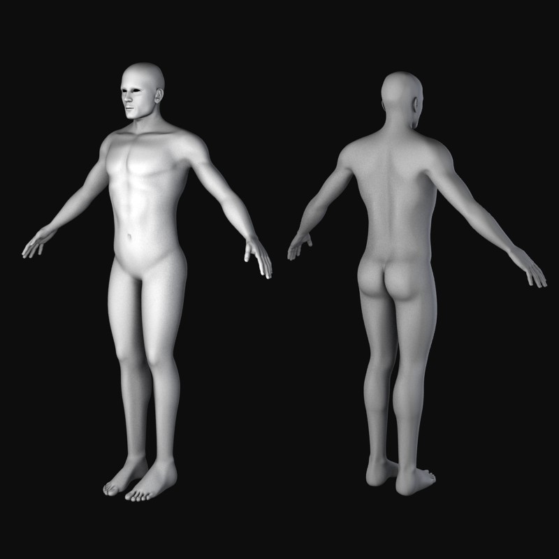 Human Male Basemesh preview image 1