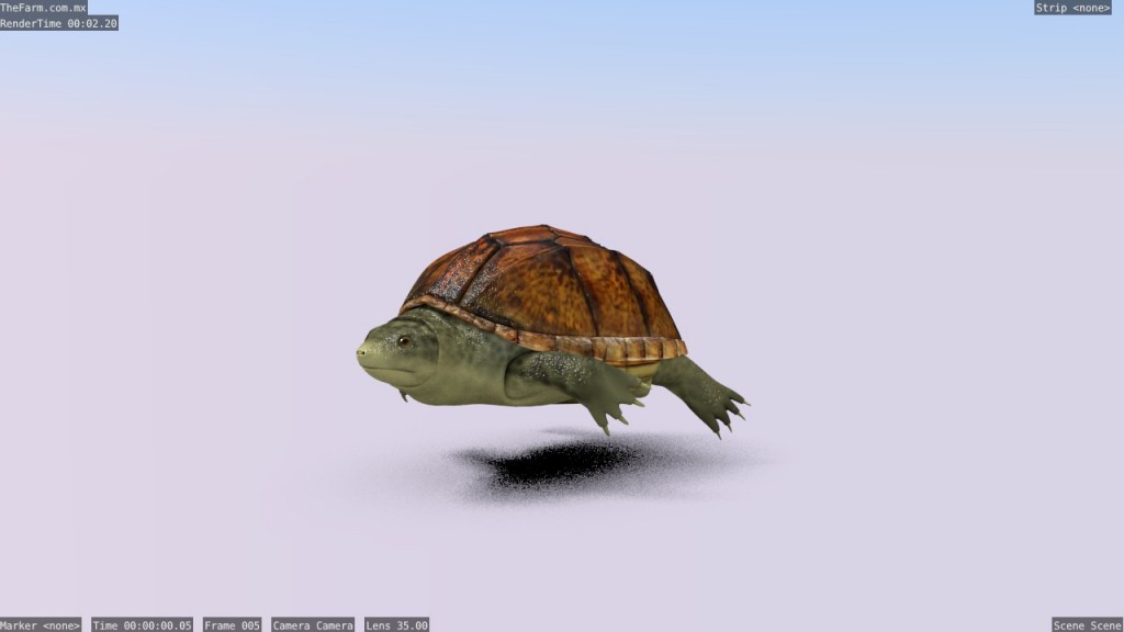 Staurotypus salvini preview image 1