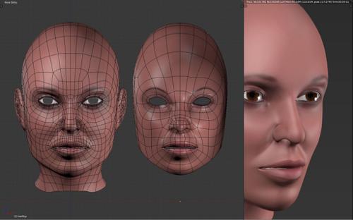 Female Head Tutorial Head Pt. 1 preview image