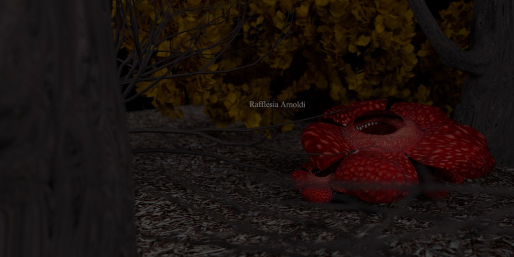 Rafflesia Arnoldi preview image 1