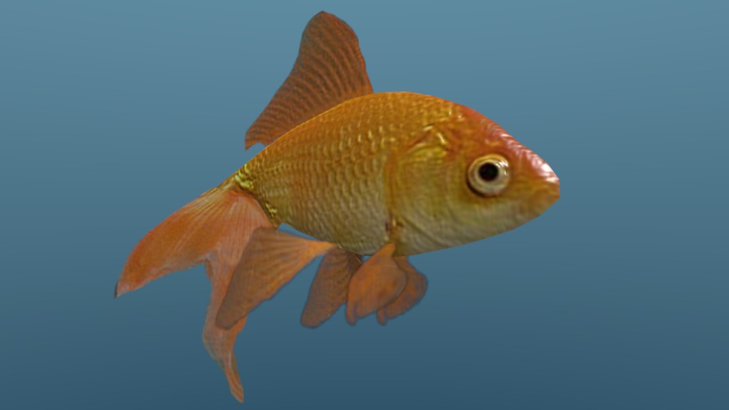 Low Poly Goldfish preview image 1