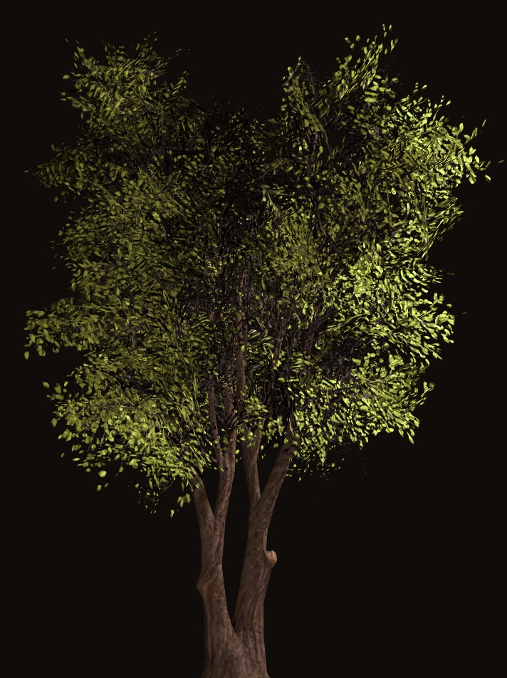 Tree preview image 1