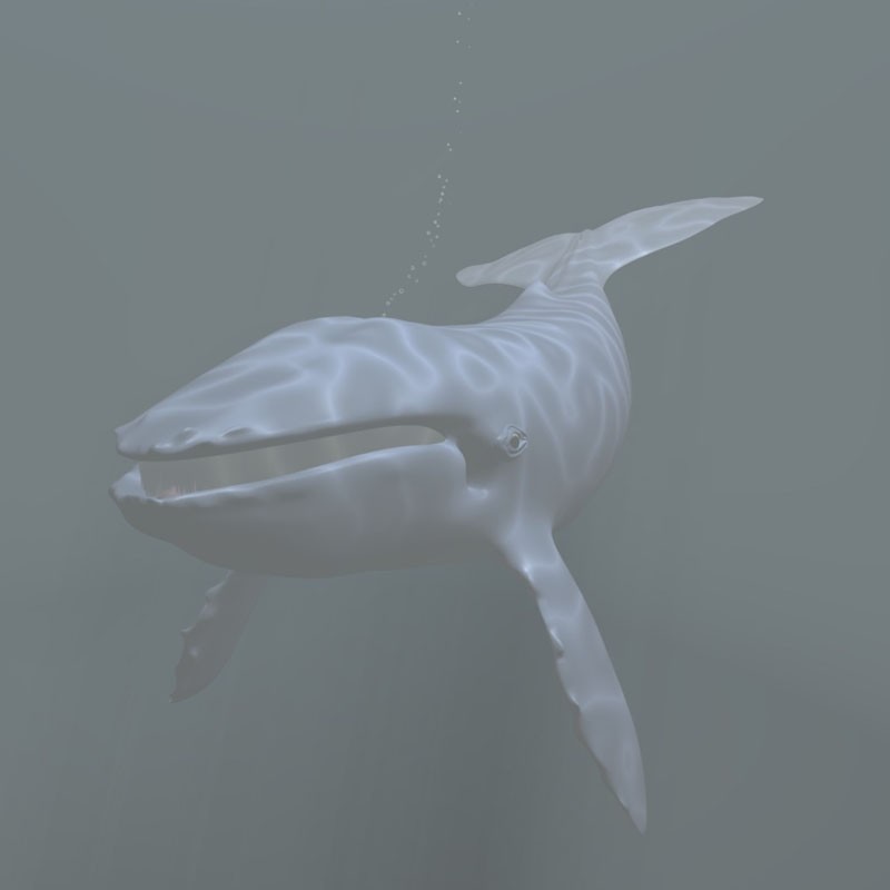Blend Swap | Whale