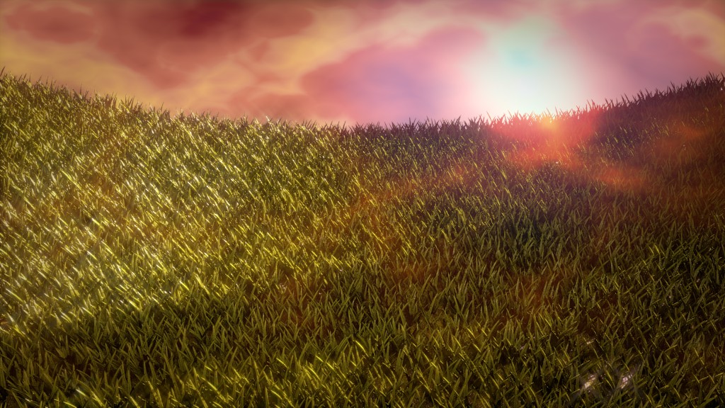 Grass by gholm preview image 1