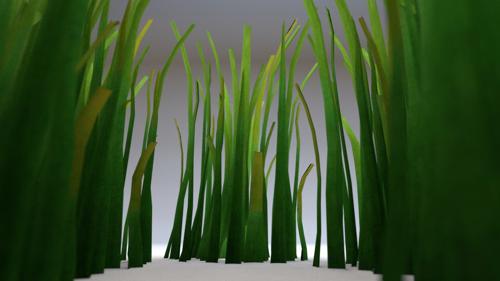 Grass Cycles preview image