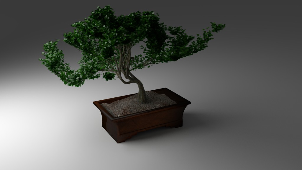 Bonsai preview image 1