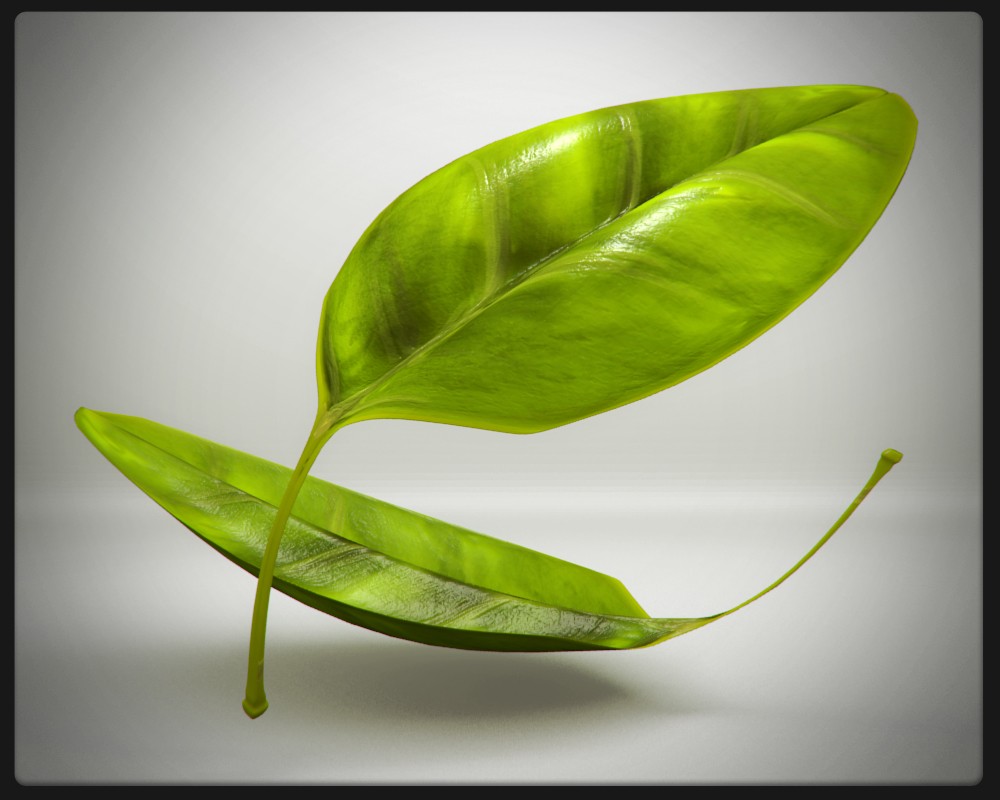 Leaf model preview image 1
