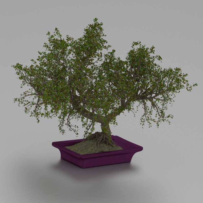 bonsai preview image 1