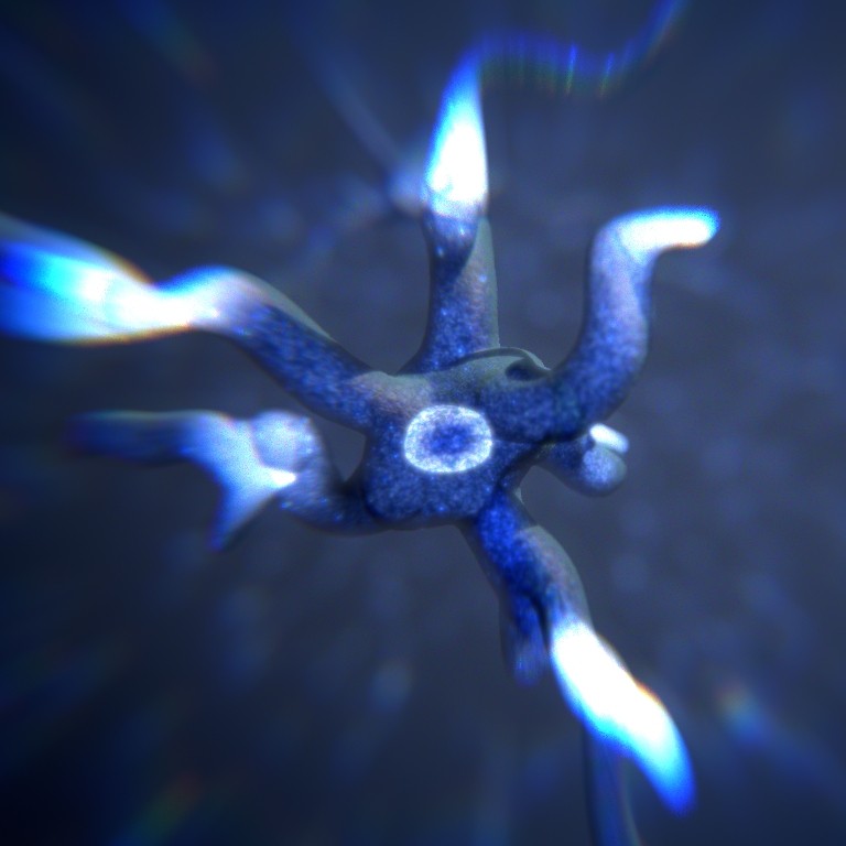 The Mind - Production Files preview image 1