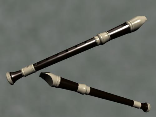 Recorder preview image