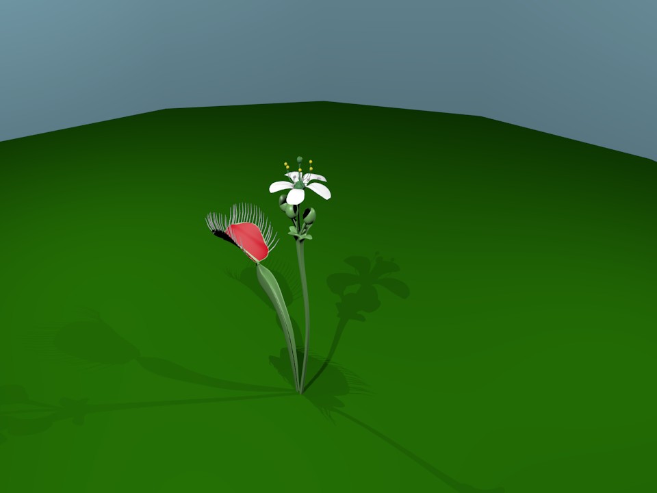 Venis Fly Trap preview image 1