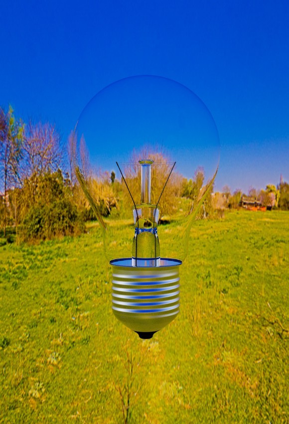 Light Bulb preview image 1