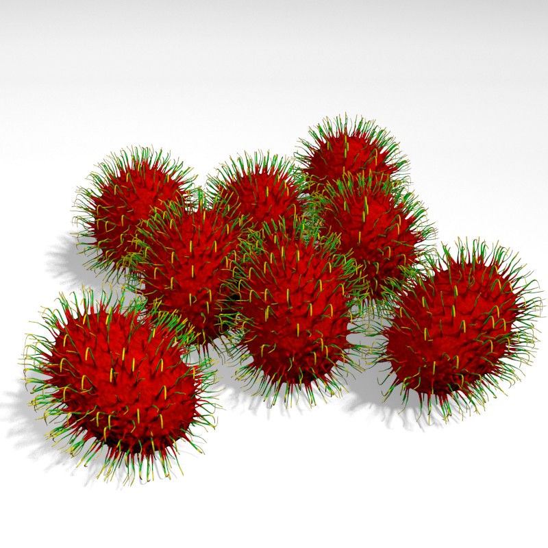 Rambutan preview image 1
