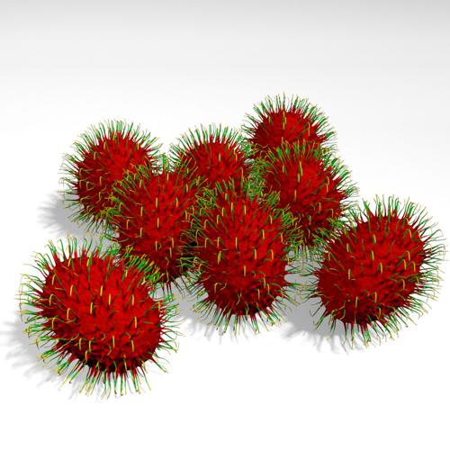 Rambutan preview image