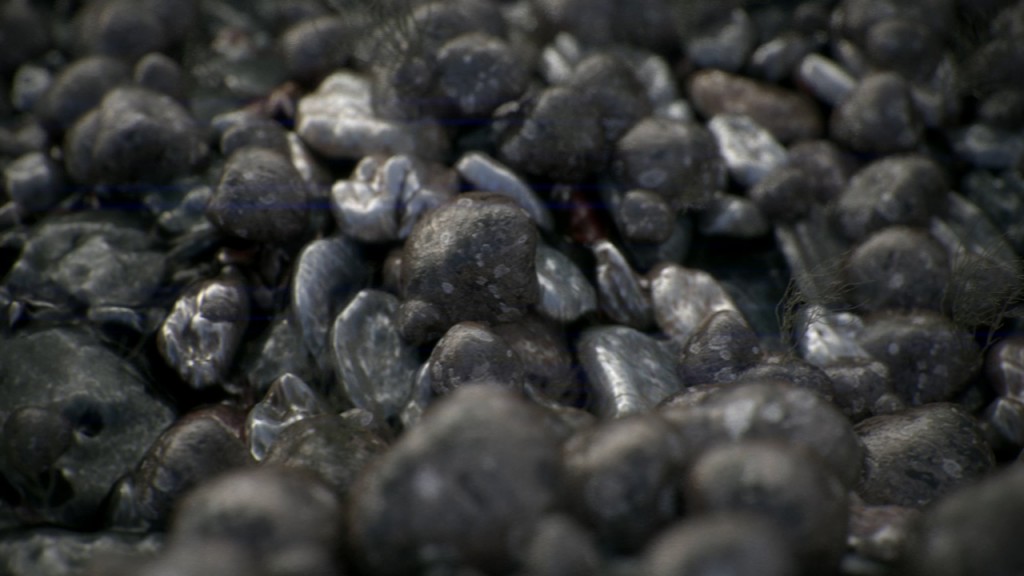 pebble cycles scene preview image 1