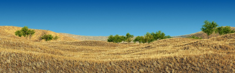 land2 preview image 1