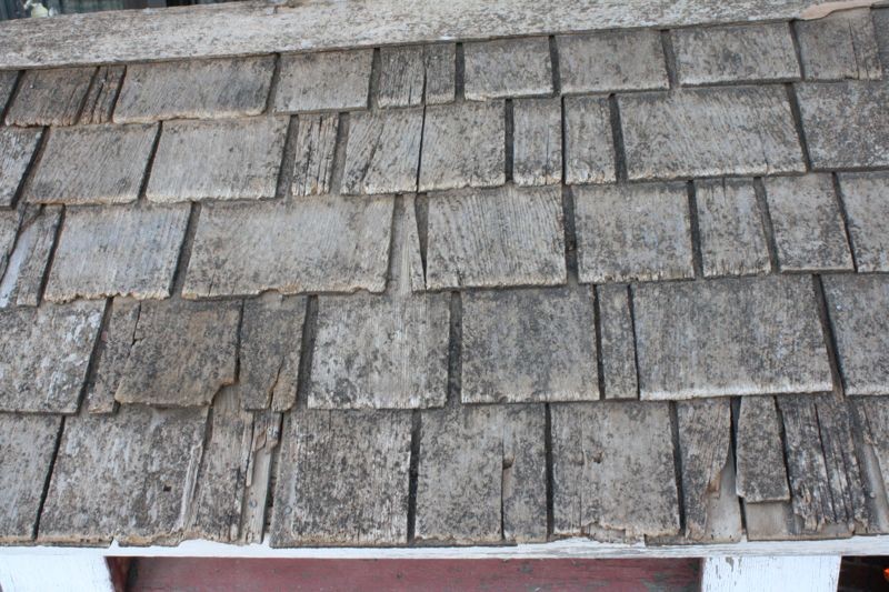 Wood shingles Texture preview image 1