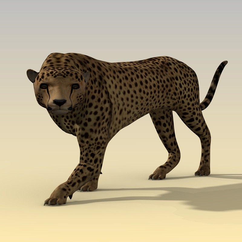 Cheetah Redux preview image 1