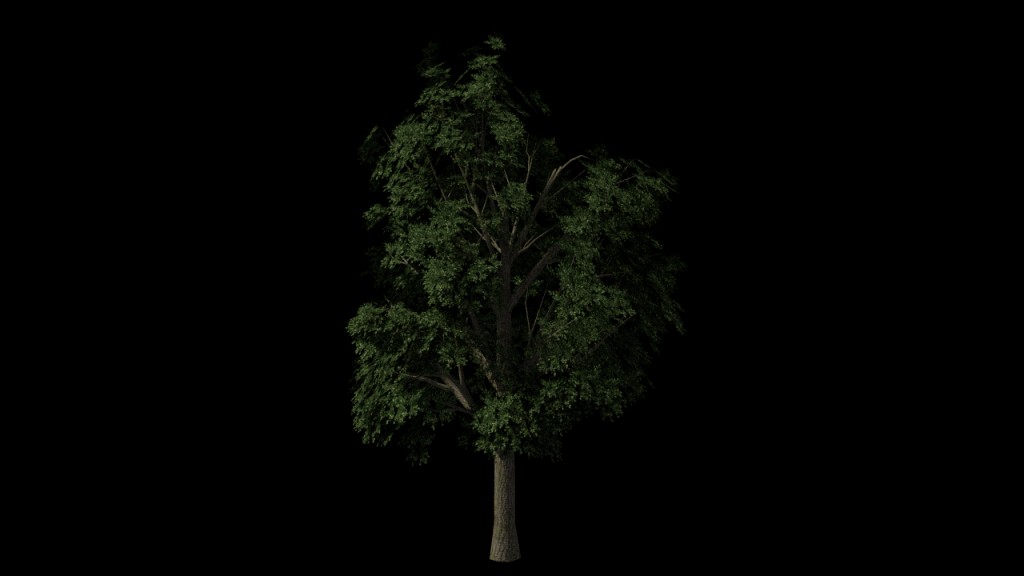 Realistic Tree preview image 1