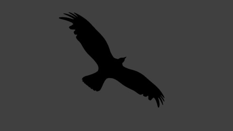 Low Poly Crow - Rigged preview image 1