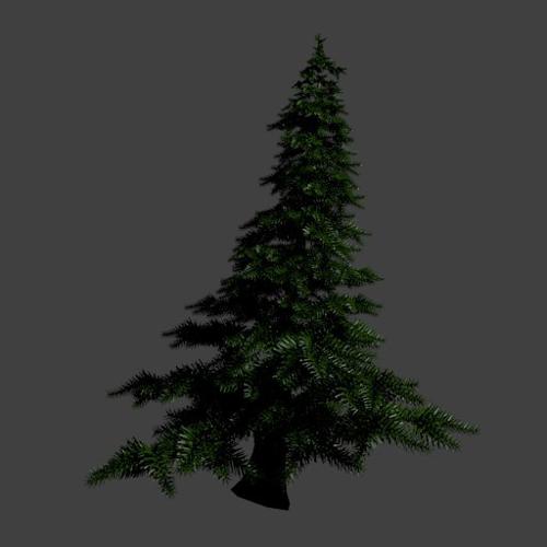 Pine Tree preview image