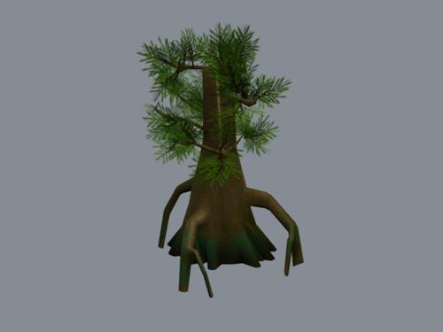 Bald Cypres preview image