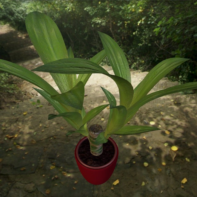 Indoor Pot Plant 2 preview image 2