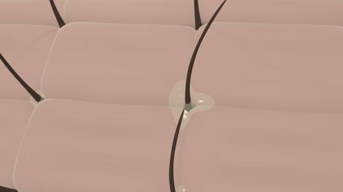 Skin cell-sebum on skin preview image