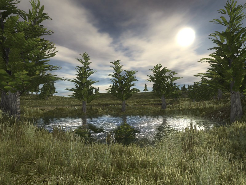 Konserian Swamptree preview image 1