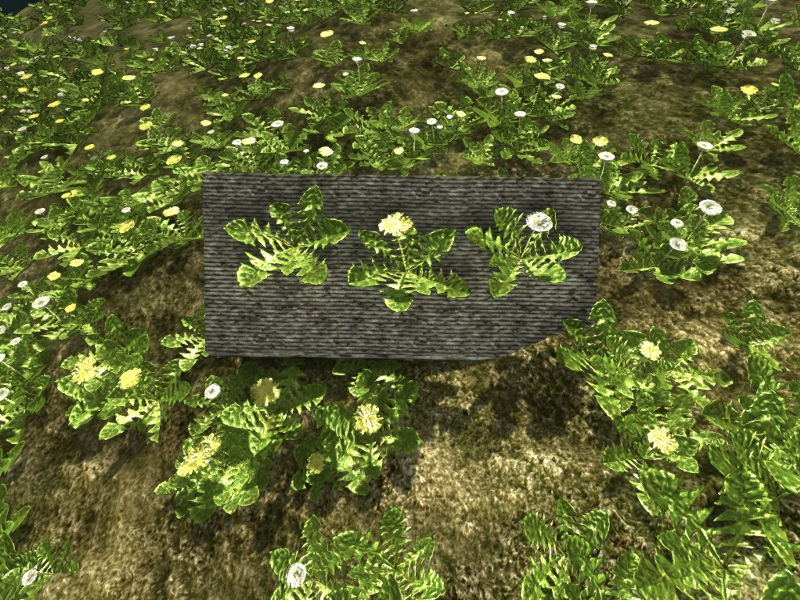 Dandelions preview image 1