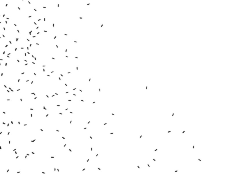 Termites - boid particles preview image 1