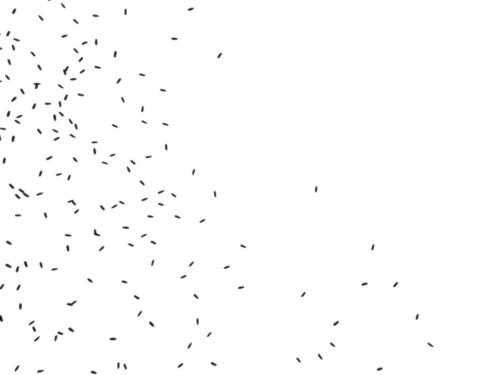 Termites - boid particles preview image