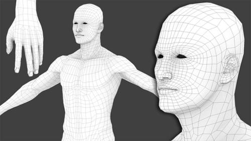 Generic Male Basemesh (rigged) preview image