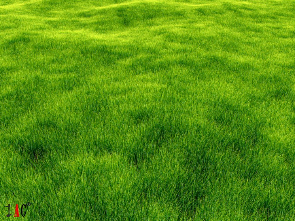 Internal is NOT dead!!! - Grass Render preview image 1