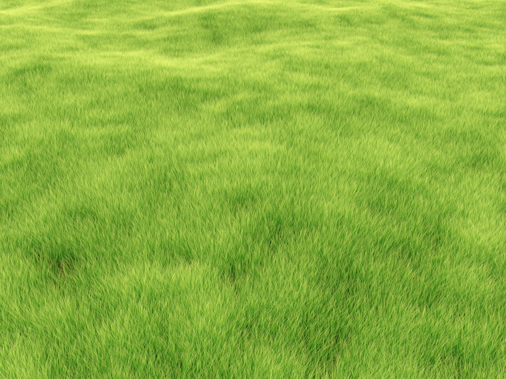 Internal is NOT dead!!! - Grass Render preview image 2