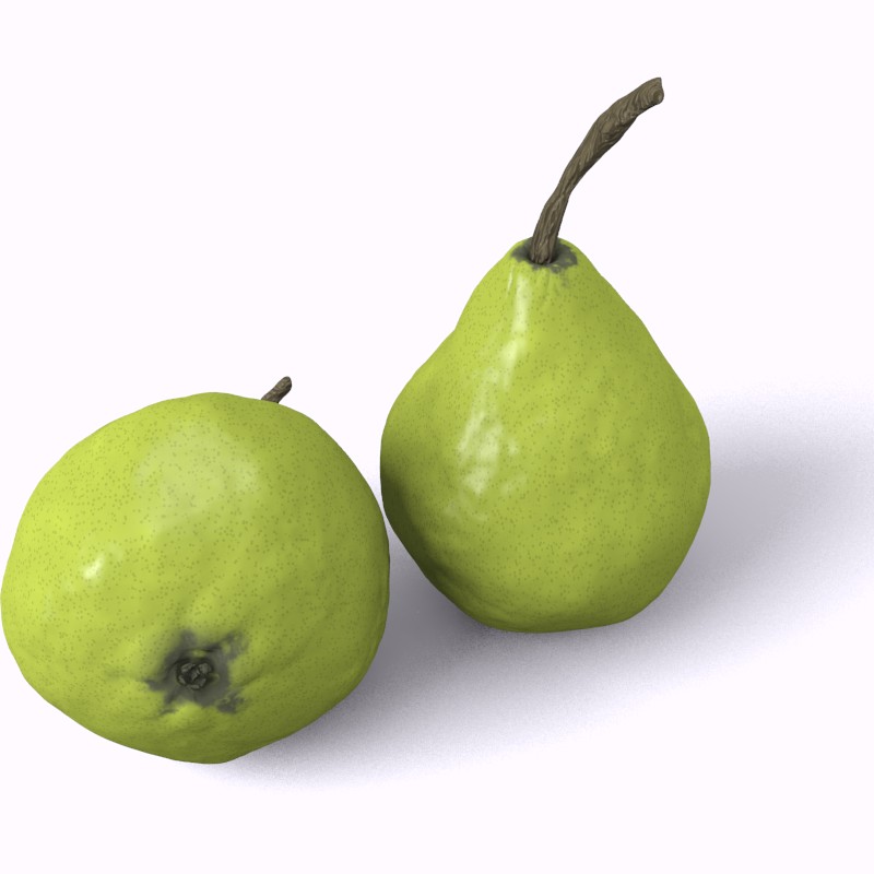 Pear Series: Internal setup preview image 1