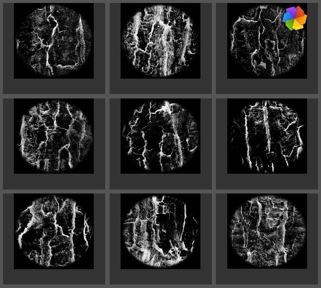 high resolution tree bark brushes. preview image 1