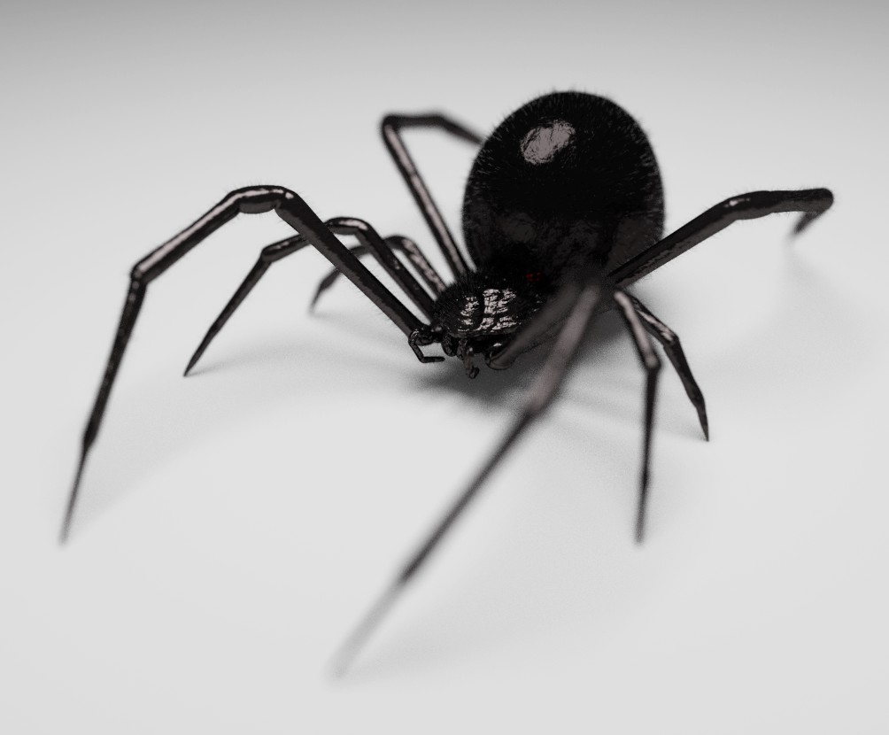 Black Widow preview image 1