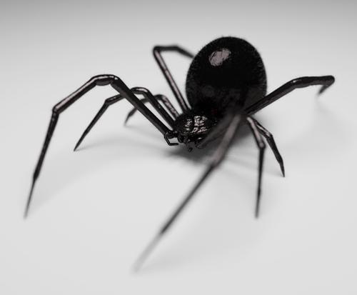 Black Widow preview image