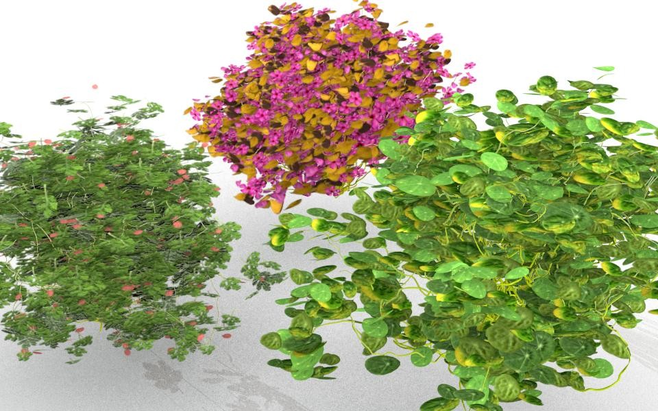 Bushes preview image 1