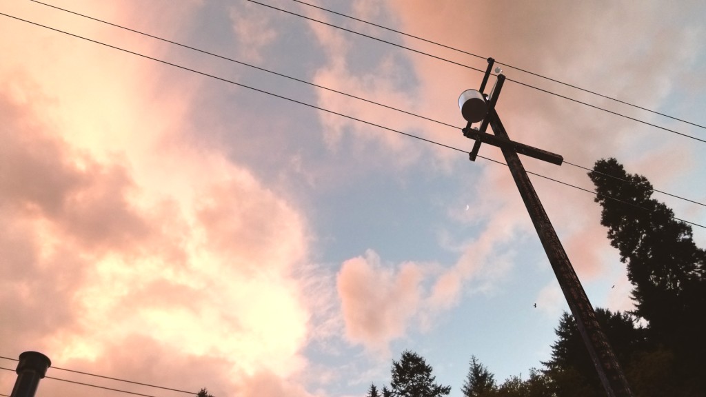 Telephone Pole preview image 1